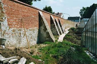imm011
