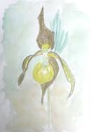 2015-12-14%2012