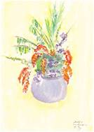 MeyB_Feldblumen20150510_001
