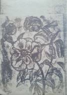 Blume-1975